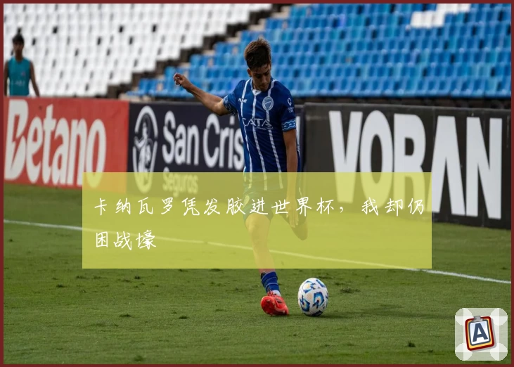 卡纳瓦罗凭发胶进世界杯，我却仍困战壕