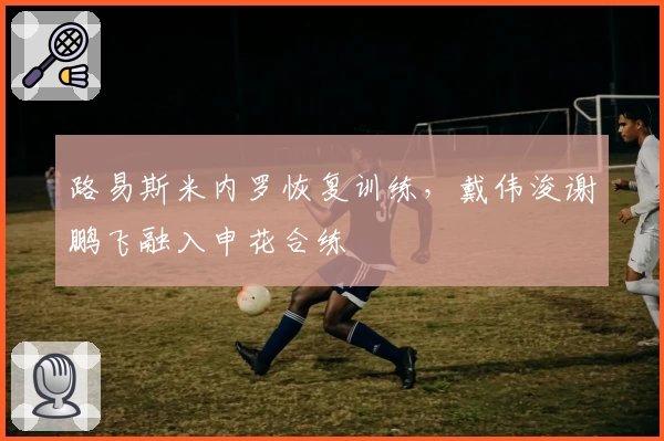路易斯米内罗恢复训练,戴伟浚谢鹏飞融入申花合练