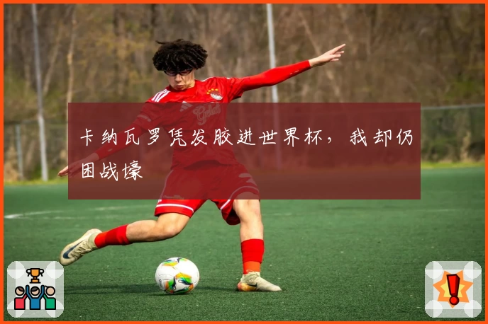 卡纳瓦罗凭发胶进世界杯，我却仍困战壕